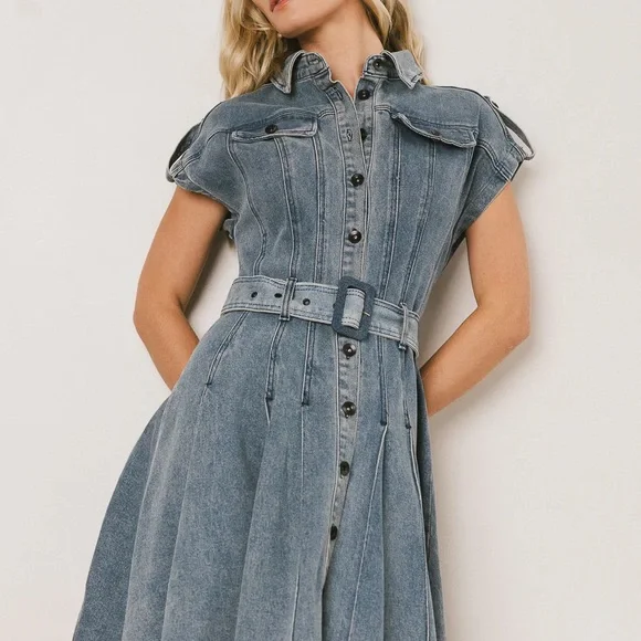 Walter Denim Midi Dress button down - Picture 5 of 8